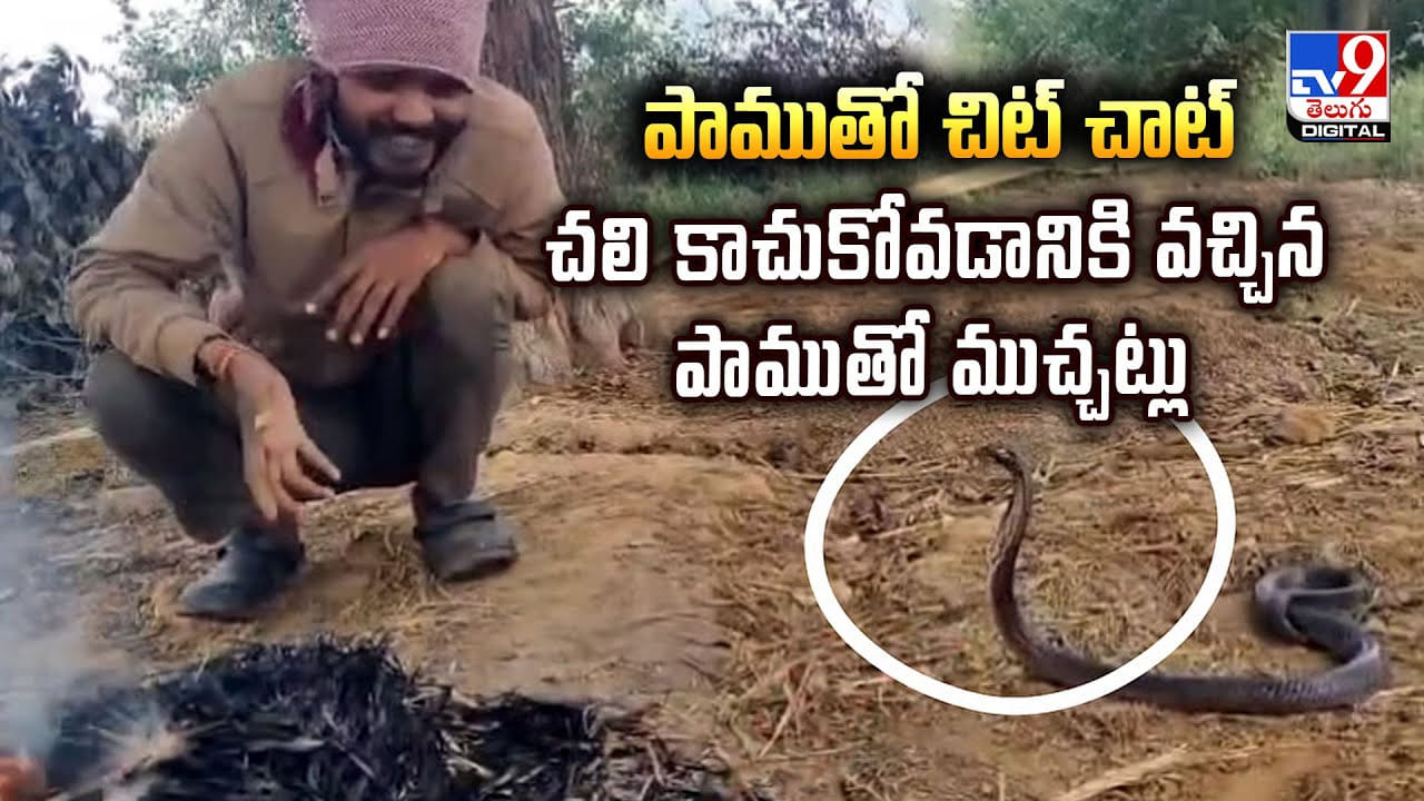 చలి కాచుకోవడానికి వచ్చిన పాముతో ముచ్చట్లు పెట్టిన వ్యక్తి.. మీరు ఇలా ఉన్నారేంట్రా