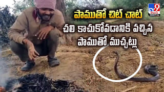 బాక్స్‌లో పెట్టిన బిడ్డను ఎత్తుకొని పారిపోయిన తల్లి.. కారణం ఇదే