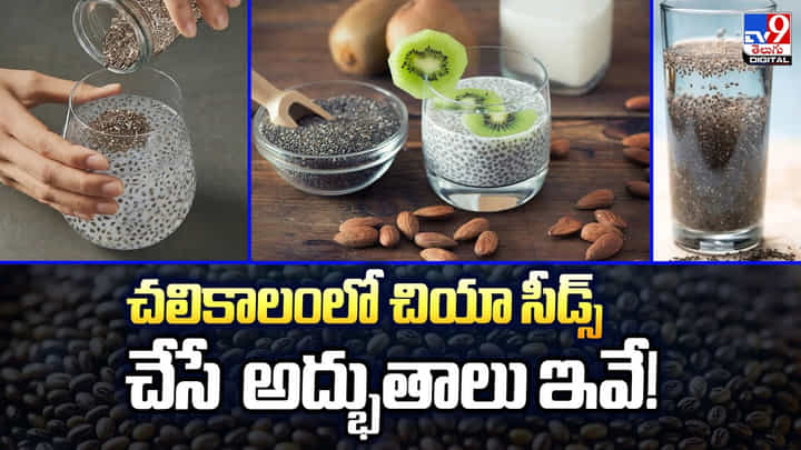 చలికాలంలో చియా సీడ్స్ చేసే అద్భుతాలు ఇవే! చలికాలంలో చియా సీడ్స్ చేసే అద్భుతాలు ఇవే!