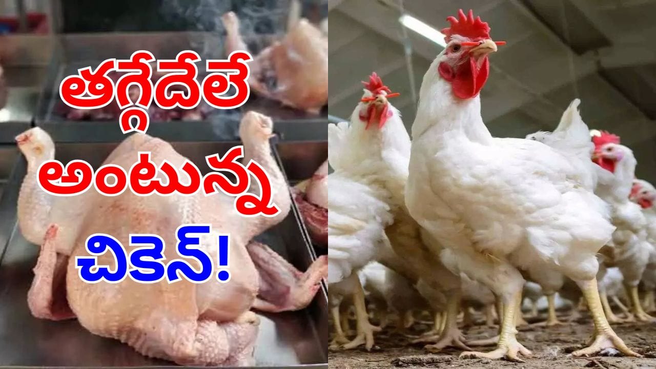 Chicken Price Hike: చిక్కన్నంటున్న చికెన్ ముక్క.. ముద్ద దిగేదెలా అంటున్న నాన్‌వెజ్ ప్రియులు!
