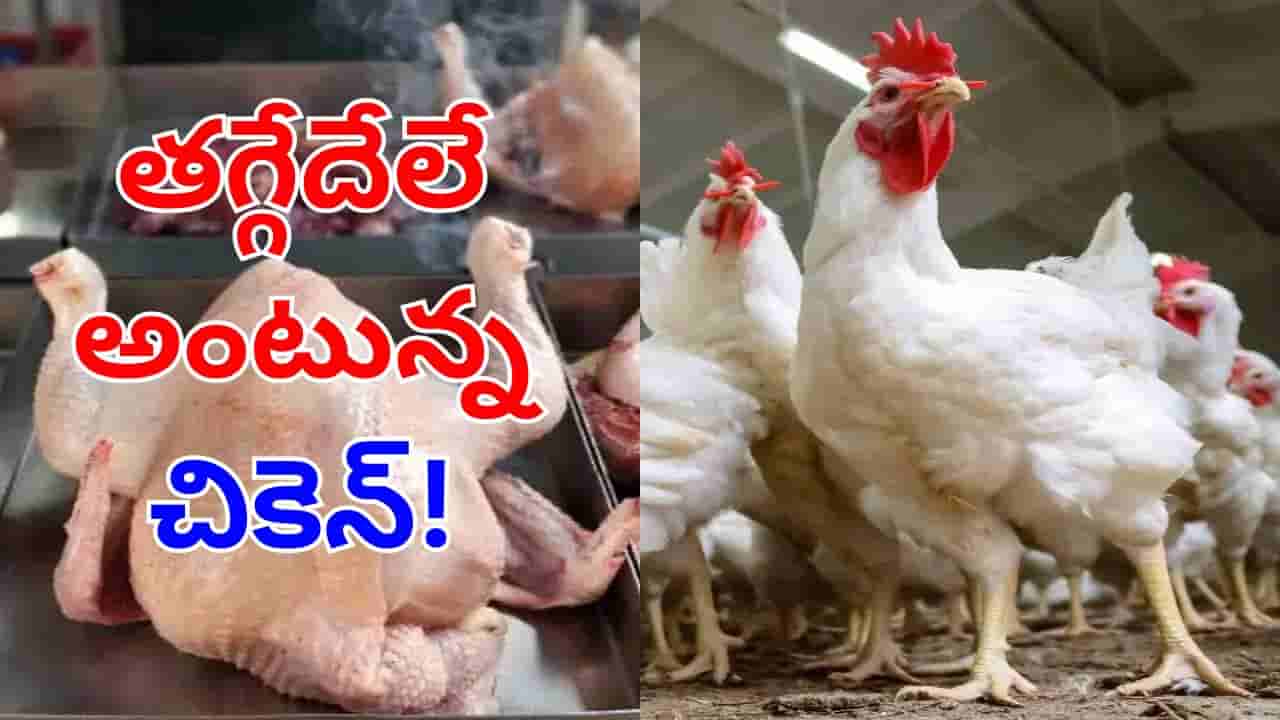 Chicken Price Hike: చిక్కన్నంటున్న చికెన్ ముక్క.. ముద్ద దిగేదెలా అంటున్న నాన్వెజ్ ప్రియులు!