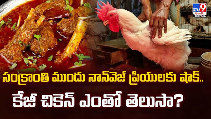 సంక్రాంతి ముందు నాన్వెజ్ ప్రియులకు షాక్.. కేజీ చికెన్ ఎంతో తెలుసా? సంక్రాంతి ముందు నాన్వెజ్ ప్రియులకు షాక్.. కేజీ చికెన్ ఎంతో తెలుసా?