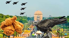 కోడి మాంసంతో విమానాల భద్రత.. అదెలా..?