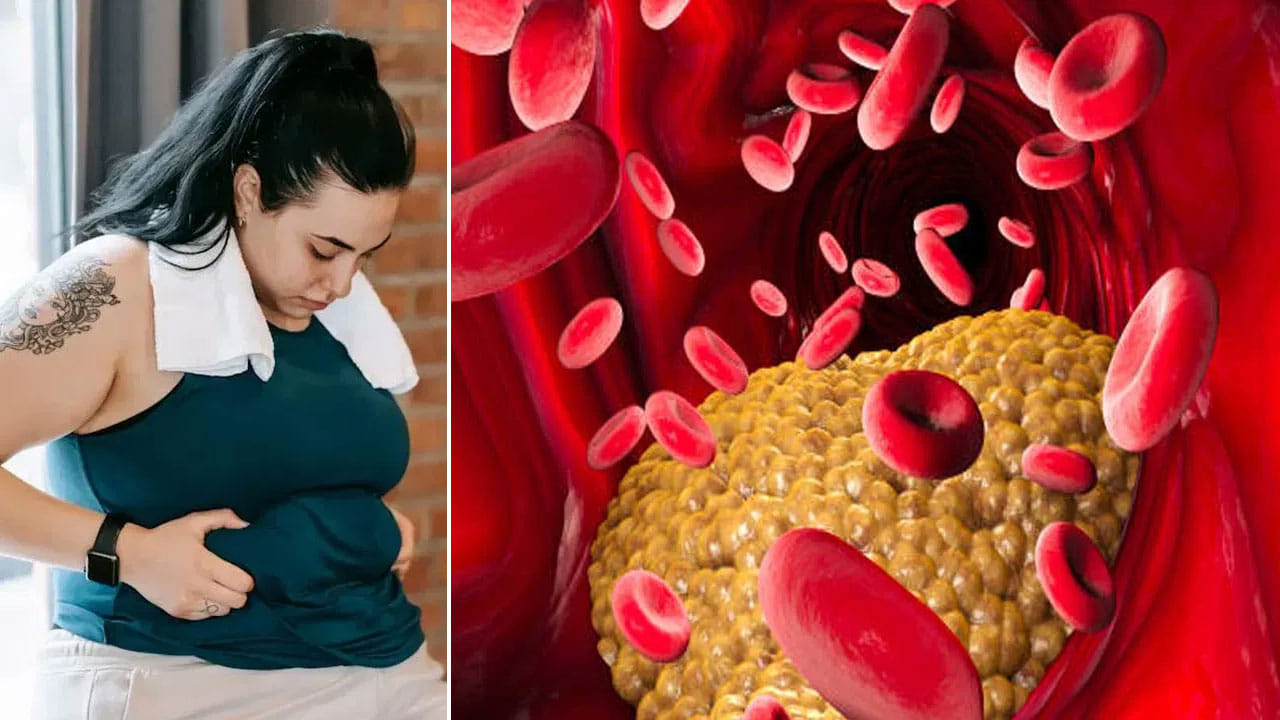 Health Tips: డైలీ ఇలా చేస్తే నో కొలెస్ట్రాల్.. నో టెన్షన్.. బాడీలోని కొవ్వును కరిగించే మంత్రం ఇదే..