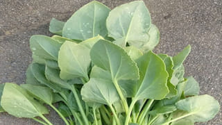 Copper Vs Steel bottle: కాపర్ లేదా స్టీల్.. నీరు తాగేందుకు ఏది బెటర్! ఈ విషయాలు తెలుసా?