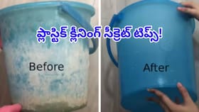 ప్లాస్టిక్ వస్తువులపై మరకలు పోవట్లేదా? ఇది బెస్ట్ సొల్యూషన్!