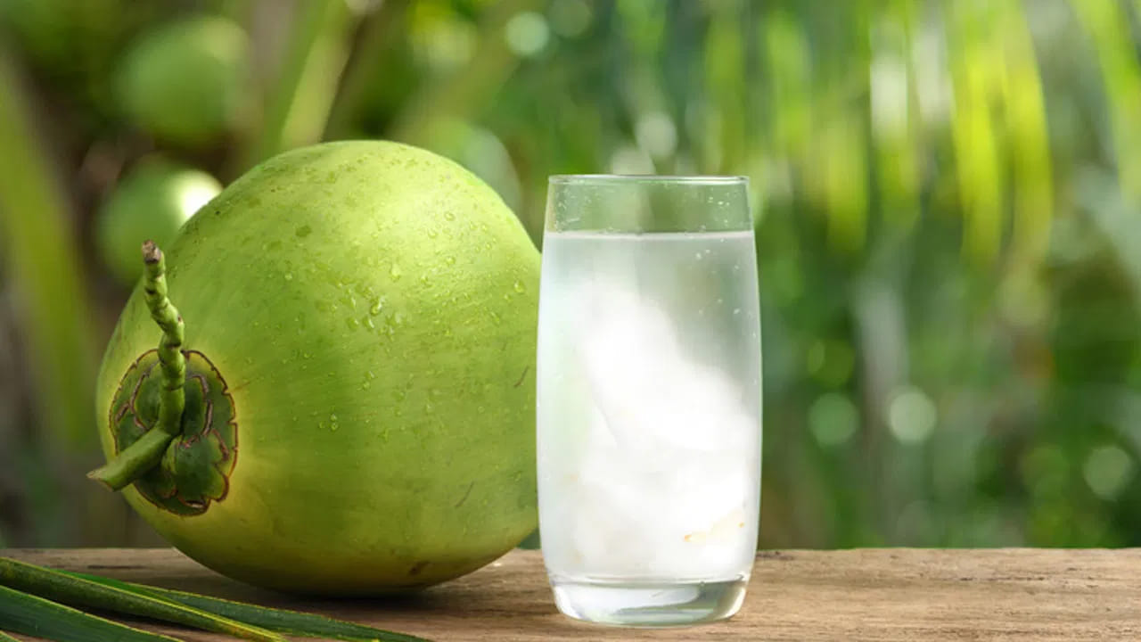 WHO ప్రకారం.. ORS లో సోడియం, పొటాషియం, క్లోరైడ్, గ్లూకోజ్ అనేవి నిర్దిష్ట నిష్పత్తిలో ఉంటాయి. ఇది శరీరంలో ఎలక్ట్రోలైట్ల లోపాన్ని తీరుస్తుంది. ORS అనేది నిర్జలీకరణానికి పరిష్కారం. కొబ్బరి నీళ్లలో పొటాషియం, తక్కువ మొత్తంలో సోడియం, మెగ్నీషియం, సహజ చక్కెరలు ఉంటాయి. వ్యాయామం తర్వాత లేదా నిర్జలీకరణ సందర్భాలలో కొబ్బరి నీటి పాత్ర చాలా ముఖ్యమైనది.