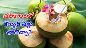 శీతాకాలంలో కొబ్బరి నీళ్లు తాగడం మంచిదేనా? నిపుణులు ఏమంటున్నారు!