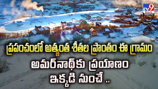 ఎముకలకు పుష్టినిచ్చే ఆహారాలు ఇవే