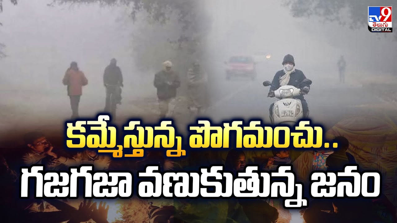 కమ్మేస్తున్న పొగమంచు..గజగజా వణుకుతున్న జనం వీడియో