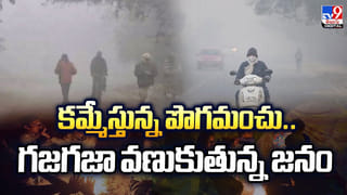 క్యాబేజీ తిన్న యువతి మెదడులో పురుగులు వీడియో