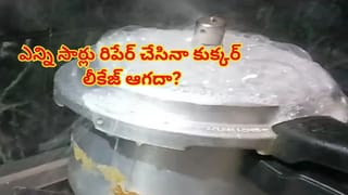 లివర్ కాదు.. చికెన్‌లోని ఈ పార్ట్ తింటే.. ఆ సమస్యలన్ని మటాషే! తెలిస్తే వెంటనే వండుకు తినేస్తారు..