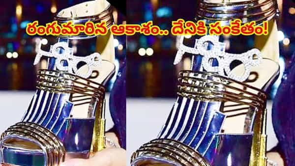 Costly Shoe: ప్రపంచంలోనే అత్యంత ఖరీదైన షూ.. దీని ధర తెలిస్తే కంగు తినాల్సిందే..!