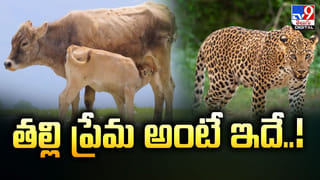 లవర్ భార్యకు HIV ఇంజెక్షన్.. మాజీ ప్రియురాలి దారుణం