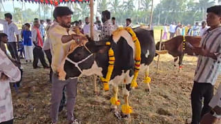 చీర కోసం సూసైడ్.. పండుగ పూట విషాదంలో కుటుంబం..