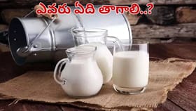 ఆవు పాలు Vs బర్రె పాలు.. ఆరోగ్యానికి ఏవి మంచివి..?