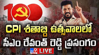 కదిలే కారులోకి దూసుకొచ్చిన అడవి మృగం..తల్లి ఒడిలోని చిన్నారి మృతి