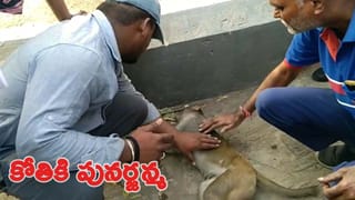 Hyderabad: గుట్టుగా నిర్మానుష్య ప్రాంతంలో గుప్పుమన్న వాసన.. మొక్క ఏపుగా పెరగడంతో డౌట్ వచ్చి చూడగా