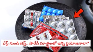 ఈ అందమైన మసాలా సుగంధ ద్రవ్యాల రాజు..! ఆ సమస్యల పాలిట లక్ష్మణరేఖ..!!