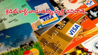 ఏందిరా ఇది.. ఏడాదిలో రూ. 10 నుంచి రూ.101లకు.. లక్షకు 16 లక్షల లాభం.. ఈ మల్టీబ్యాగర్ జోరు ఆగేట్టు లేదుగా