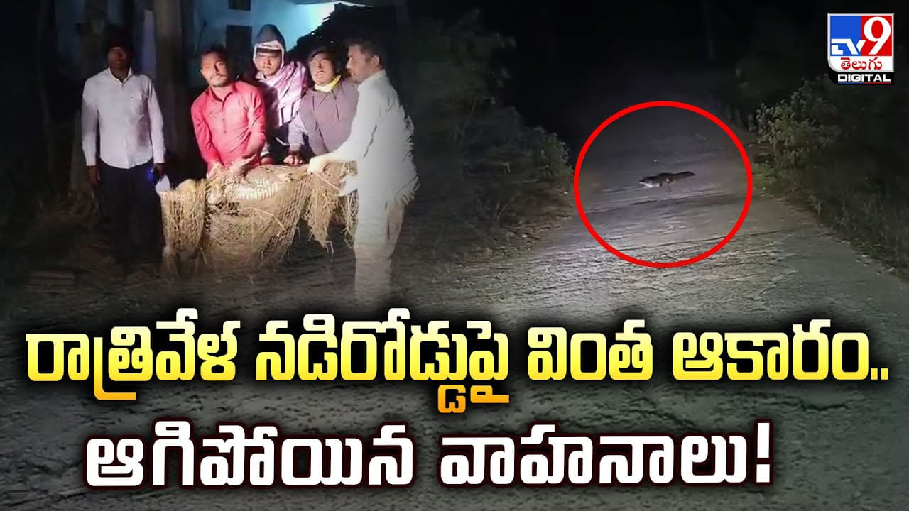 రాత్రివేళ నడిరోడ్డుపై వింత ఆకారం.. ఆగిపోయిన వాహనాలు