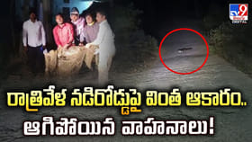 రాత్రివేళ నడిరోడ్డుపై వింత ఆకారం.. ఆగిపోయిన వాహనాలు