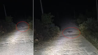 Special Trains: సంక్రాంతికి ఊరెల్లే వారికి గుడ్‌న్యూస్.. పండగ నేపథ్యంలో ఆ రూట్‌లలో స్పెషల్‌ ట్రైన్స్!