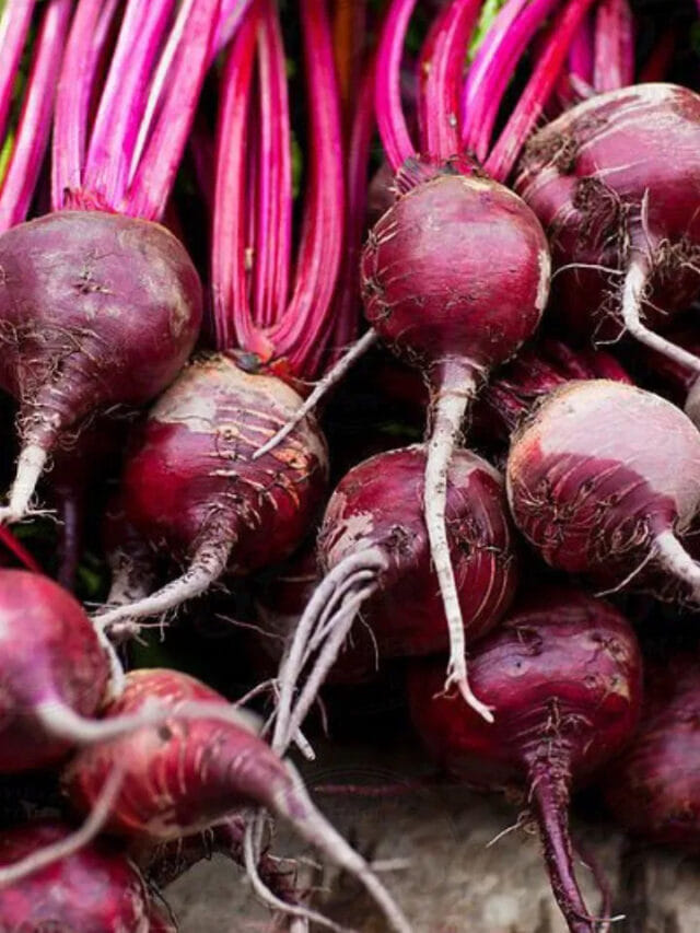 వీళ్లు బీట్‌రూట్ తిన్నారంటే..బాడీలో పార్ట్స్‌ షెడ్డుకే!