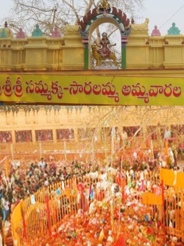 మేడారంలో ధరలు చూస్తే గుండె దడ ఖాయం..ఇవి మర్చిపోయారో.. పర్సు ఖాళీనే!