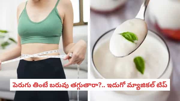 Weight Loss Tips: జిమ్తో పనిలేదు.. పెరుగును ఈ 5 పద్ధతుల్లో తింటే చాలు! కొవ్వు వెన్నలా కరిగిపోవాల్సిందే!
