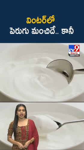 Curd in Winter: శీతాకాలంలో పెరుగు తింటే ఆరోగ్యానికి మంచిదే.. కానీ