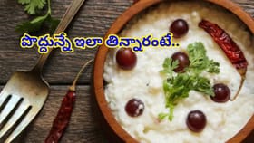 పొద్దు పొద్దున్నే పెరుగన్నం తింటున్నారా..? శరీరంలో జరిగేది ఇదే..!