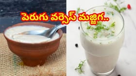 పెరుగు వర్సెస్‌ మజ్జిగ.. మీ ఆరోగ్యానికి ఏది మంచిదో తెలుసా..?