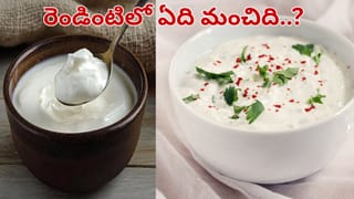 ఉదయాన్నే ఖాళీ కడుపుతో కరివేపాకు నీరు తాగితే ఏమవుతుందో తెలుసా..? ఫలితాలు చూస్తే షాక్ అవుతారు..