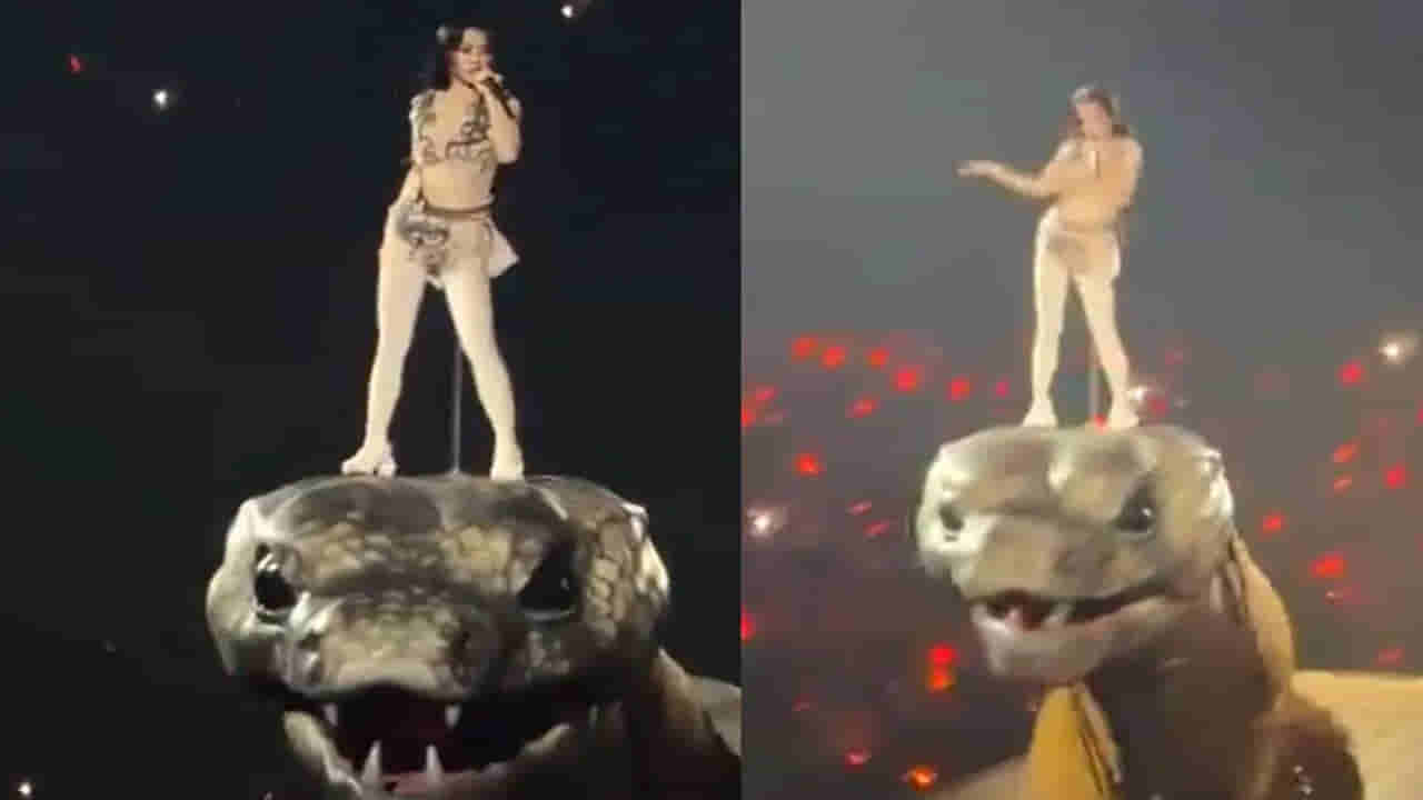 Viral Video: ఓరీ దేవుడో.. అనకొండతో ఆటలా..? పాము తలపై పాప్ సింగర్ డ్యాన్స్ ..! వీడియో వైరల్