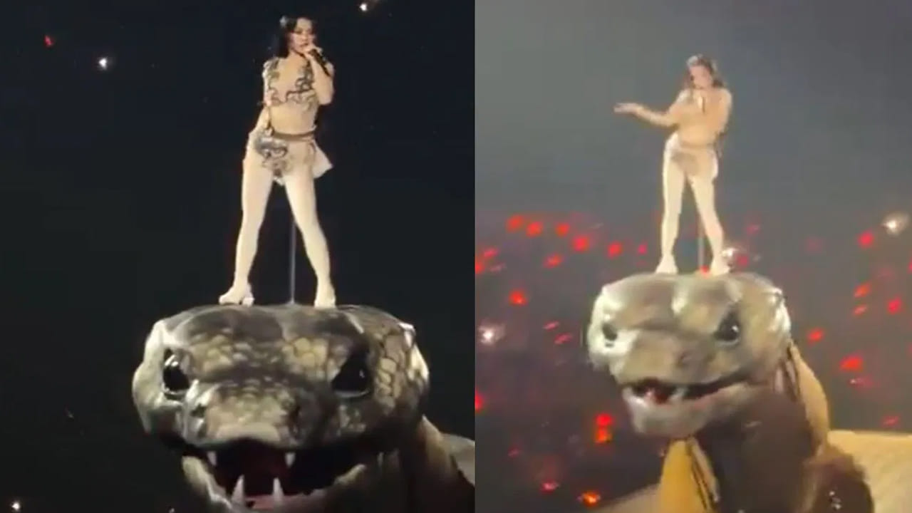 Viral Video: ఓరీ దేవుడో.. అనకొండతో ఆటలా..? పాము తలపై పాప్ సింగర్ డ్యాన్స్ ..! వీడియో వైరల్