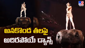 అనకొండ తలపై నాగిని డాన్స్.. జోక్ కాదు.. ఇది సీరియస్ మ్యాటర్