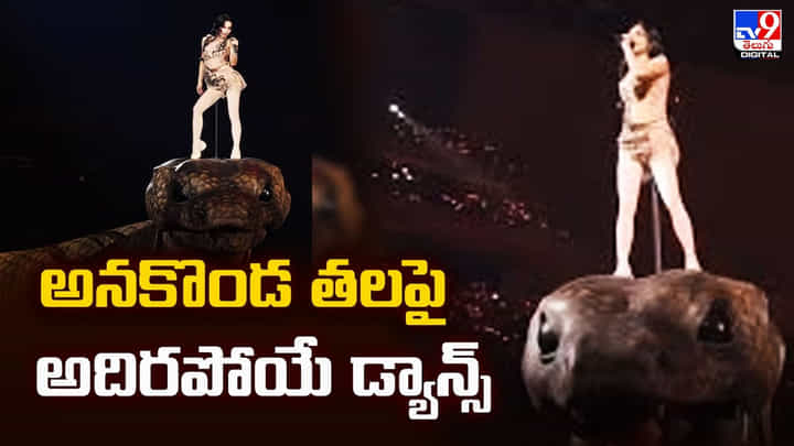 అనకొండ తలపై నాగిని డాన్స్.. జోక్ కాదు.. ఇది సీరియస్ మ్యాటర్ అనకొండ తలపై నాగిని డాన్స్.. జోక్ కాదు.. ఇది సీరియస్ మ్యాటర్