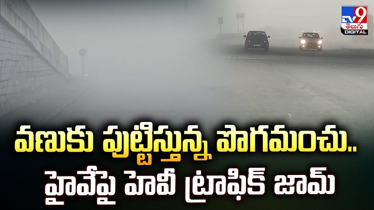 వణుకు పుట్టిస్తున్న పొగమంచు.. హైవేపై హెవీ ట్రాఫిక్‌ జామ్‌