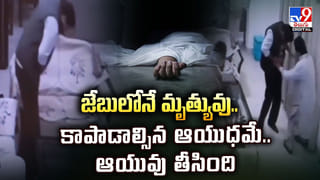 తేనెటీగకు లీగల్‌ హక్కు !! పెరిగిన ప్రాముఖ్యత