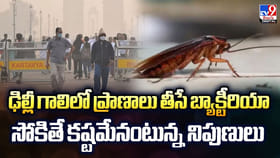 ఢిల్లీ గాలిలో ప్రాణాలు తీసే బ్యాక్టీరియా..