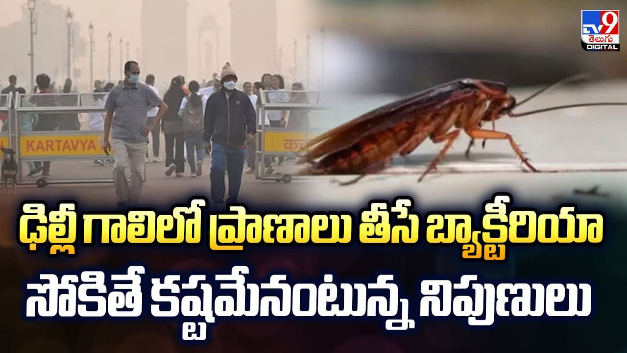 ఢిల్లీ గాలిలో ప్రాణాలు తీసే బ్యాక్టీరియా.. సోకితే కష్టమేనంటున్న నిపుణులు ఢిల్లీ గాలిలో ప్రాణాలు తీసే బ్యాక్టీరియా.. సోకితే కష్టమేనంటున్న నిపుణులు