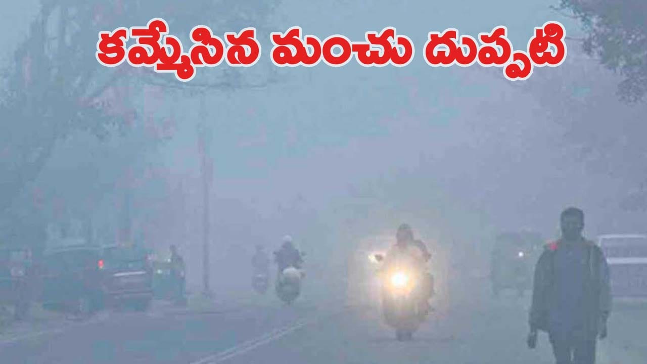 ఊటీలో ఉన్నామా...? ఓరుగల్లా..? పొగమంచు పొరల్లో మెరిసిపోతున్న వరంగల్ ఖిల్లా అందాలు..!