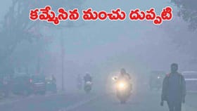 ఓరుగల్లును కమ్మేసిన మంచు దుప్పటి..!