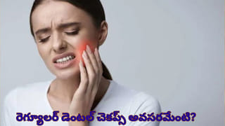 Goat Blood: మేక రక్తం నల్ల అదే పనిగా తింటున్నారా..? అవి కొట్టేస్తాయ్ జాగ్రత్త..