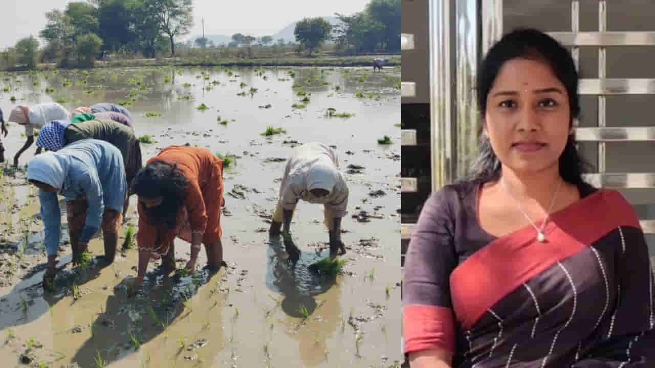 Jagtial District: పొలం బాట పట్టిన ట్రైనీ డిప్యూటీ కలెక్టర్