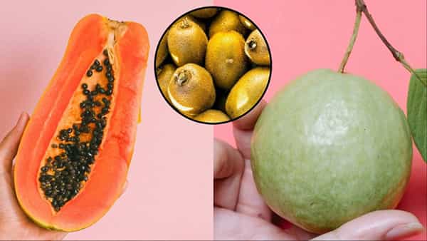 Health Tips: కివి vs జామ vs బొప్పాయి: కడుపు సమస్యలకు చెక్ పెట్టేందుకు ఏది మంచిది?