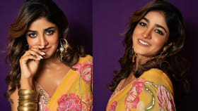 పెళ్లి వార్తలపై డింపుల్ హయాతి రియాక్షన్..