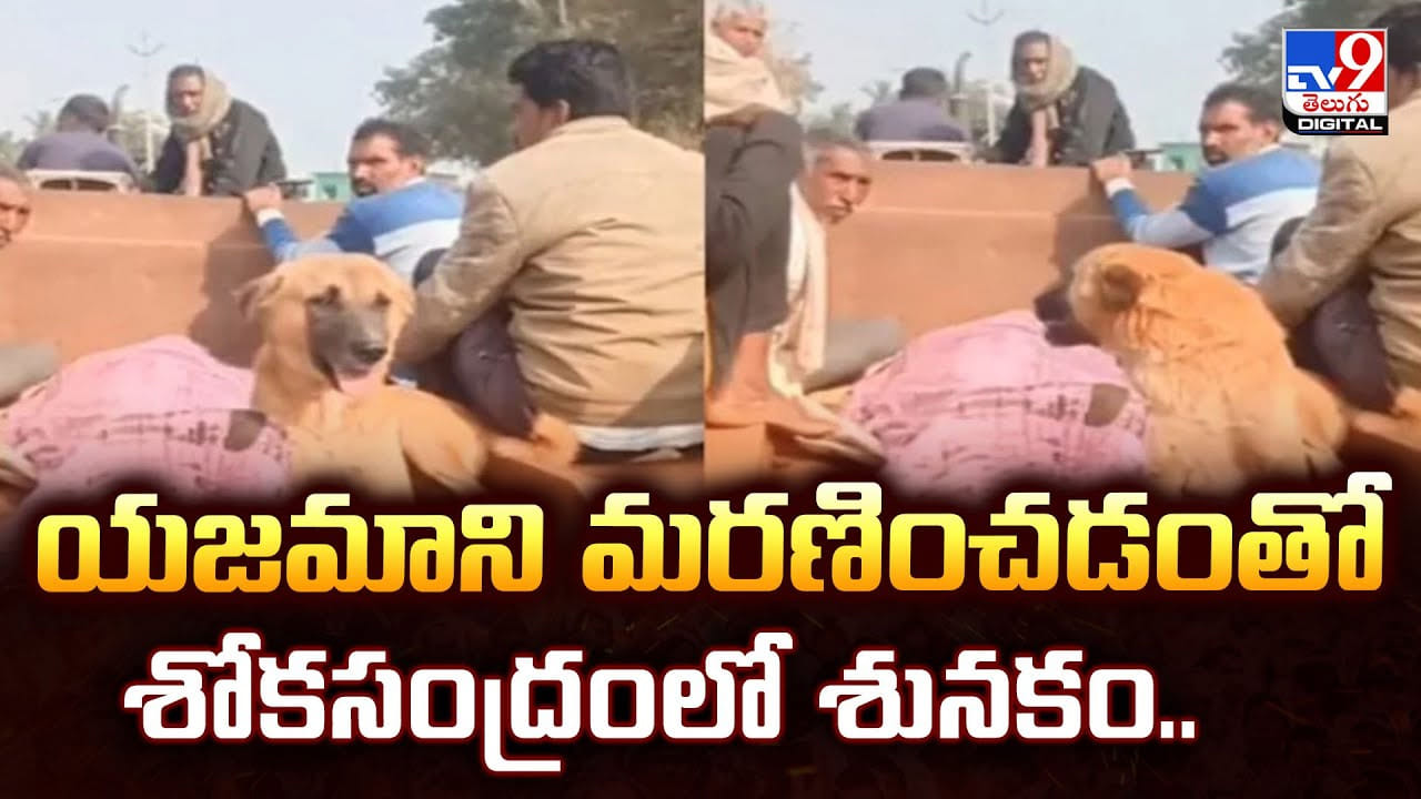 యజమాని మరణించడంతో శోకసంద్రంలో శునకం.. యజమాని మరణించడంతో శోకసంద్రంలో శునకం..