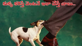 సంపదను సూచించే స్వప్నాలు..! ఇవి కలల్లో వస్తే లక్షాధికారి కావడం ఖాయం..!!